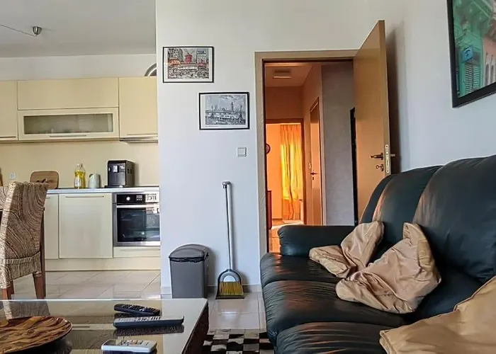 луксозен срещу какао Солнечный берег